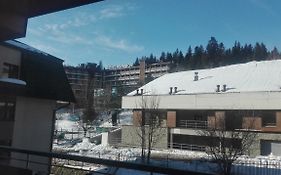 Apartament przy Stoku